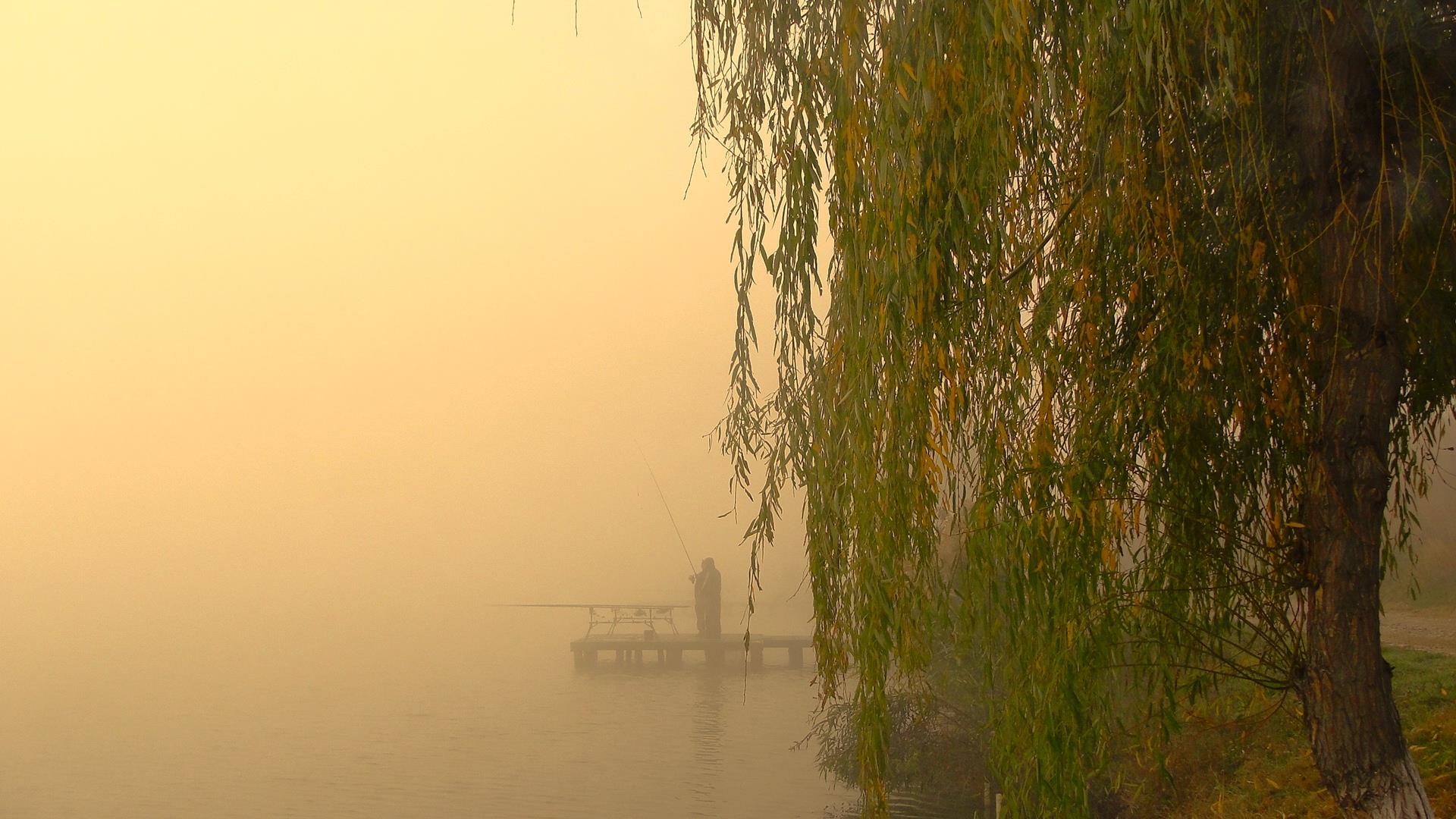 Moara Vlasiei 2 9 - 9 nov. - dsc02923.JPG